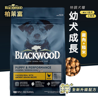 【町町隔日配】Blackwood 柏萊富 特調幼犬成長配方 雞肉+糙米｜狗飼料 柏萊富新包裝 幼犬飼料 成長飼料