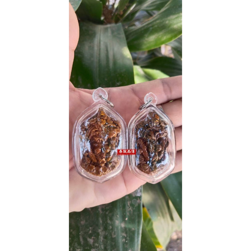泰默阿贊屋泰早年極品魅力聖物咩霸瑟緹