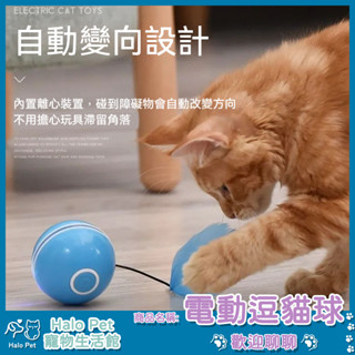 臺灣出貨✨Halo Pet✨新款電動貓玩具 LED鐳射 逗貓球 貓咪自嗨 逗貓棒羽毛 USB充電 逗貓玩具 逗貓神器