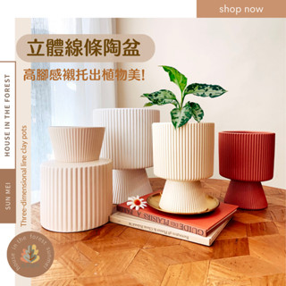 森美植所花盆/花器/觀葉盆/陶盆-北歐條紋立腳盆/北歐INS風/觀葉植物/水泥盆/盆器/盆栽/陶器/植栽/多肉盆栽/雨林