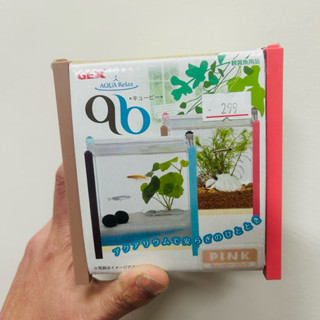 《悠遊水族》我最便宜-GEX鬥魚 小型魚玻璃魚缸、鬥魚、水族用品
