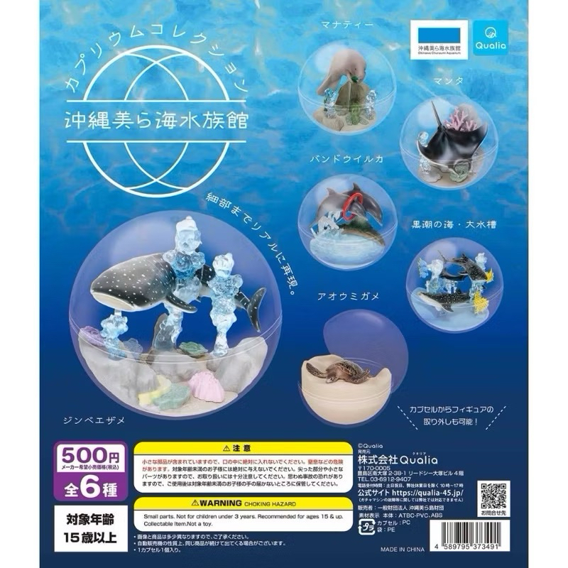 【現貨】沖繩海生館 限定扭蛋 海龜 魟魚