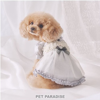 【PET PARADISE】網紗拼接連身裙 (DSS)｜cherircouture 2025全新系列 質感洋裝