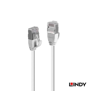 LINDY 林帝 0.3M-CAT.6A 極細乙太低煙無鹵網路線 U/FTP, 灰色 (47590)