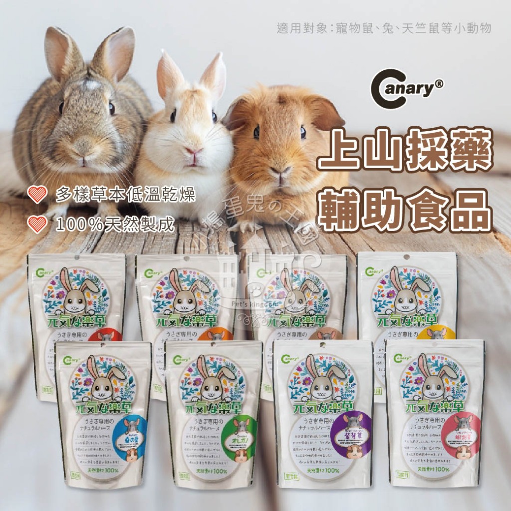 【小搗蛋鬼の王國】Canary 上山採藥輔助食品 奧勒岡 42G 寵物除臭 鼠 兔 倉鼠 除臭 鼠兔