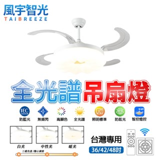 【風宇智光】吊扇燈 風扇燈 三色調光 隱形吊扇燈 遙控 現代簡約餐廳臥室隱形風扇燈 吊扇燈具 吊燈風扇 靜音 定時