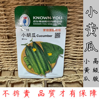 【臺灣現貨-天天出】小黃瓜種子 小胡瓜種子 蔬菜種子 小胡瓜 小黃瓜 種子 高發芽率 易種植 家庭園藝 夏季蔬菜