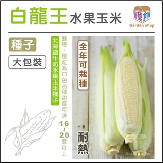 白龍王水果玉米種子(北海道牛奶水果玉米) 量販包裝-園藝倉庫