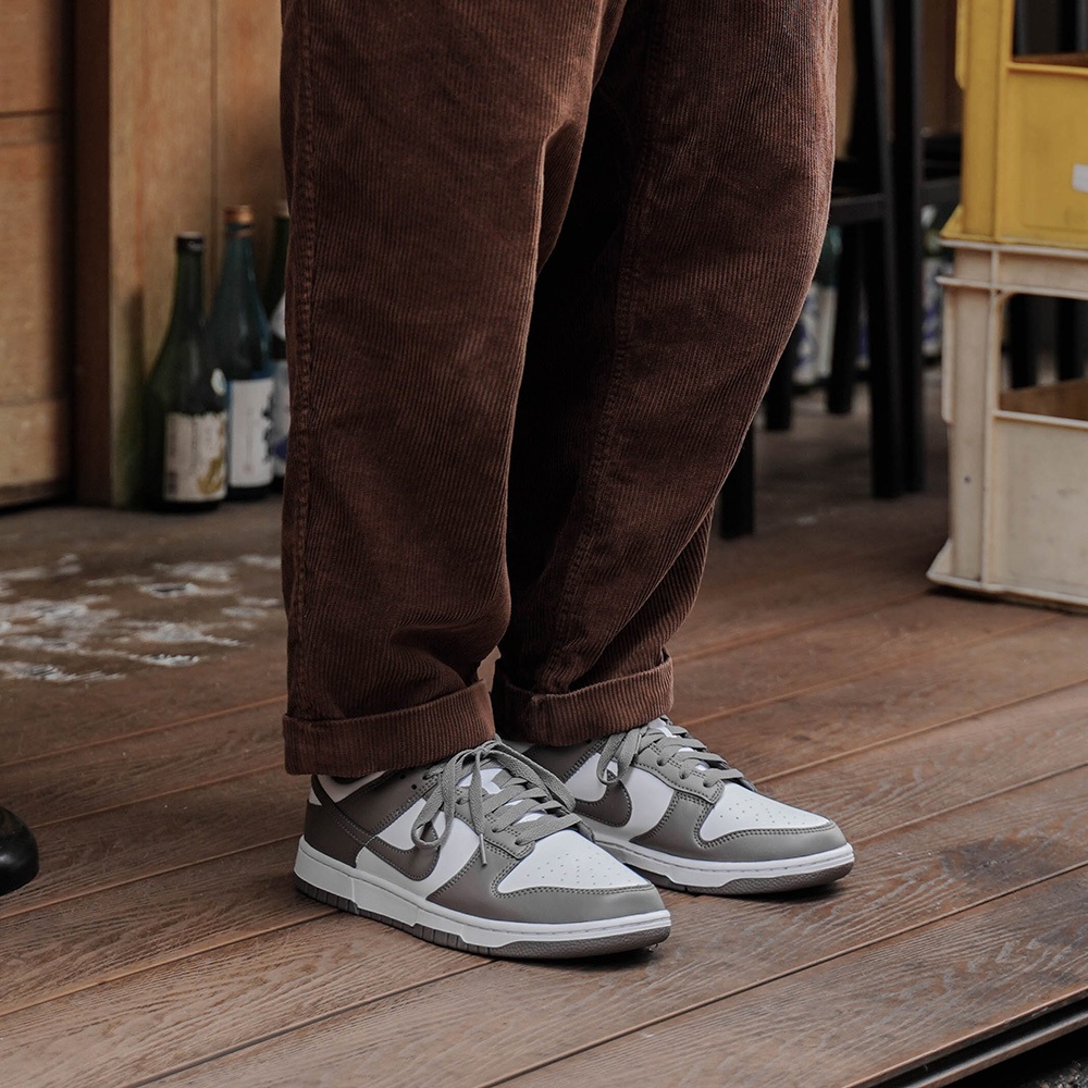 Nike Dunk Low Retro HF5441-111 男 運動休閒鞋 低筒 復古 舒適 穿搭 咖啡灰