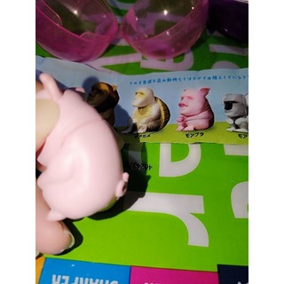 Pink pig Doll扭蛋轉蛋摩艾動物豬