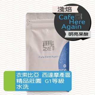 再再之在｜衣索比亞 西達摩 精品莊園 G1 等級 水洗 咖啡豆 咖啡粉