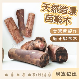 🌰菜丁🌰臺灣出貨 天然造景芭樂木 臺灣製 倉鼠 黃金鼠 小寵玩具 科養造景 熊鼠 倉鼠玩具 木頭玩具 磨牙玩具 倉鼠磨牙
