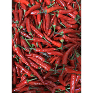 🍍自產自銷🍍 Hot Pepper 新鮮 現採 辣椒 朝天椒 超級辣 變態辣