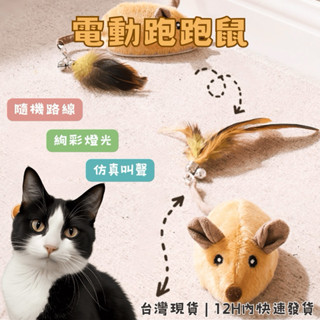 【12H快速出貨 | 臺灣現貨】小老鼠逗貓玩具 電動老鼠 貓玩具 狗玩具 趣味發聲 絢彩燈光 不規則路線 USB充電