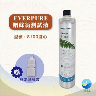 EVERPURE PENTAIR 愛惠浦 S100 黑水保固 除氯 除色 除味 除菌 淨水器 濾心 過濾
