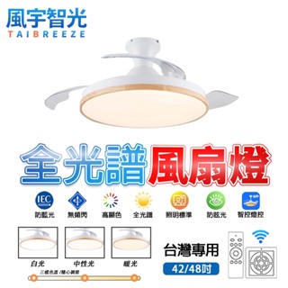 【風宇智光】隱形吸頂風扇燈 吸頂吊扇燈 全光譜護眼吸頂風扇燈 大風力變頻吸頂風扇燈 餐廳客廳隱形吸頂吊扇燈 8030A