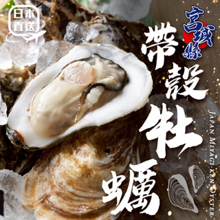 日本宮城縣帶殼牡蠣10kg±10%/約80-110顆【海陸管家】日本牡蠣 帶殼牡蠣 海鮮