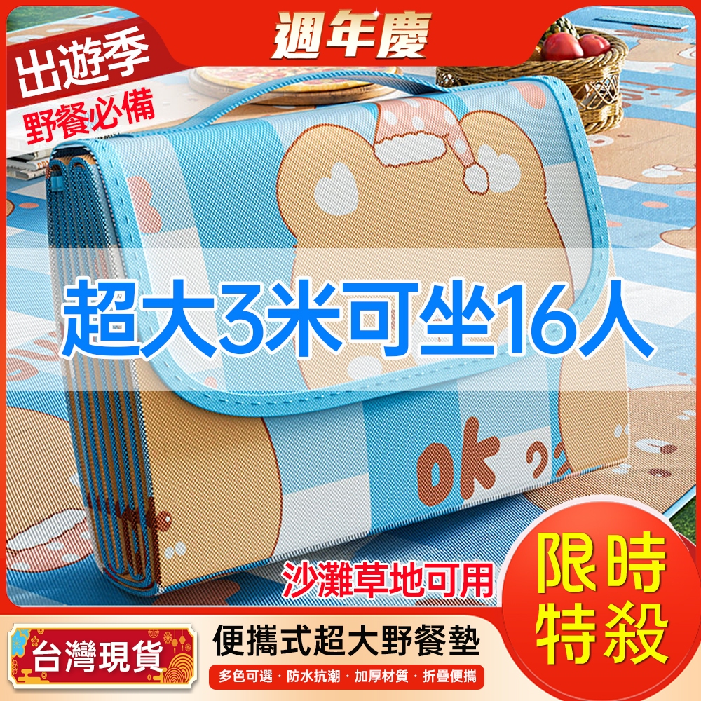 【現貨免運】超大號春遊地墊野餐墊 便攜式可折疊坐墊防水防潮墊防潮墊 露營野炊沙灘加厚墊戶外登山休閒出遊季春遊秋遊露營坐墊