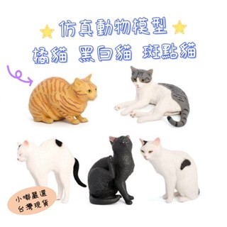 臺灣出貨 模擬 動物模型 玩具 兒童認知教學玩具 貓模型 寵物貓擺飾 斑點貓/橘貓/黑白貓