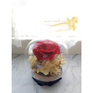 WeiNi 永生玫瑰花 白雪公主 玻璃球 不凋花 紅玫瑰 繡球花 生日禮物 12cm