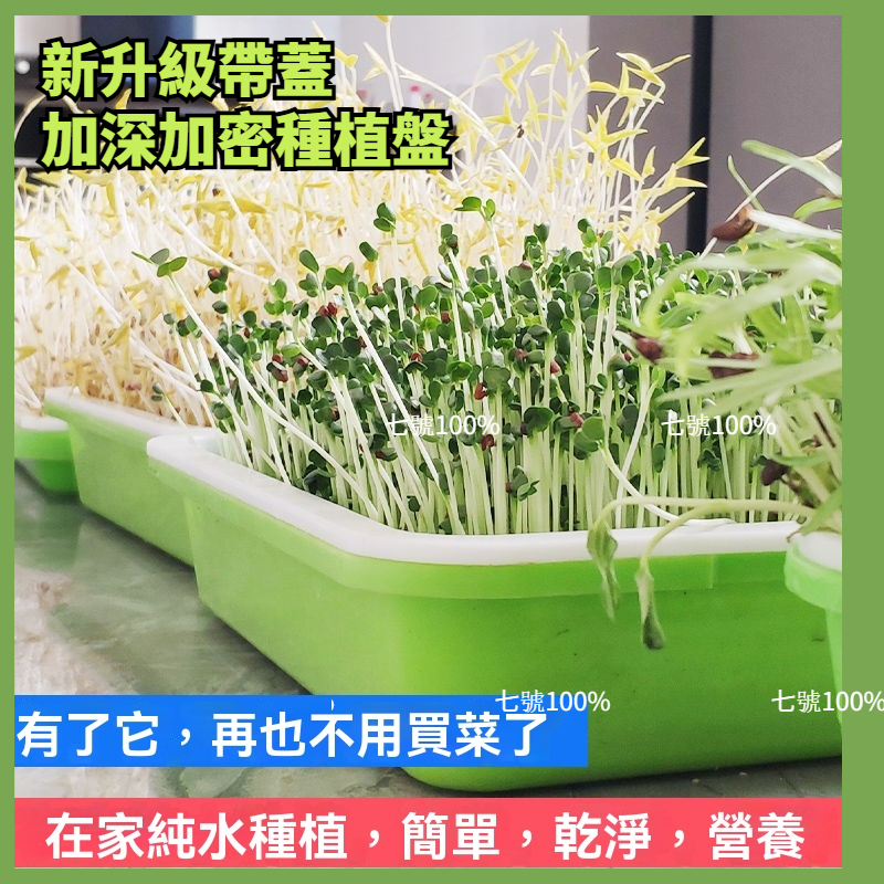 🔥台灣出貨🔥 菜苗盆 育苗盒 豆芽發芽盆 水培盆 育苗盤 水耕蔬菜 芽菜培育箱 豆芽盆 發芽盆 芽菜種子 豆芽菜 苜蓿芽