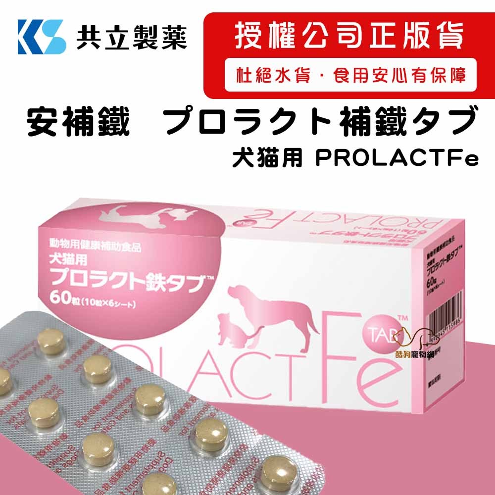 日本共立製藥 安補鐵 補血保健/60錠 犬貓適用 正版台灣貨 犬貓補血保健 狗狗補血保健 貓咪補血保健 寵物補鐵
