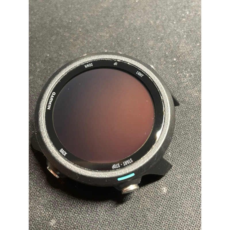 Garmin FORERUNNER 245 Music 二手