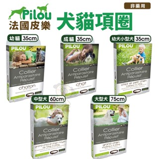 Pilou 法國皮樂 犬貓項圈 第二代加強版 貓用 犬用 寵物項圈『WANG』