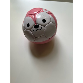 日本SFIDA二手兔子足球