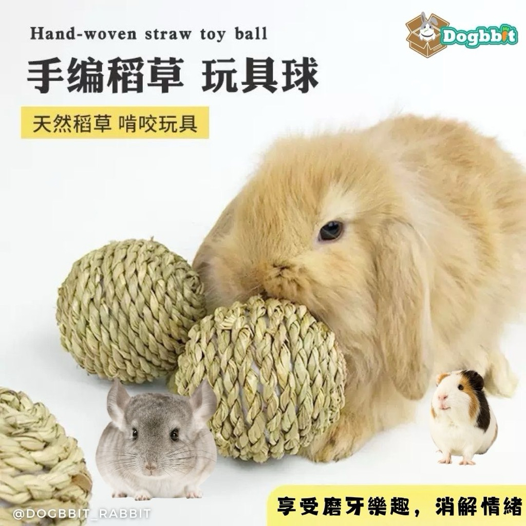 道格兔Dogbbit | 小寵草球 兔子玩具 提摩西草球 草球 兔子草球 磨牙玩具 磨牙草球 牧草球 編織草球 天竺鼠