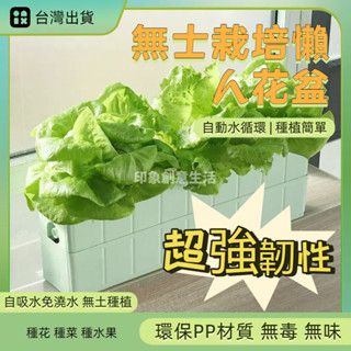 🔥臺灣出貨 陽種菜水培設備種菜神器家庭室內水耕蔬菜無士栽培懶人花盆