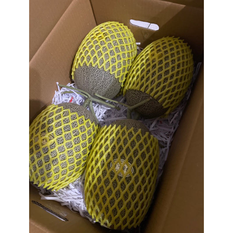 （預購11月採收）極光脆口哈密瓜 卡蜜拉 瓜界LV
