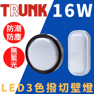 光通亮 LED 壯格 16W 壁燈 三色撥切 橢圓款 圓形 吸頂燈 無藍光 無紫外線 全電壓 樓梯燈 廁所燈 陽臺燈
