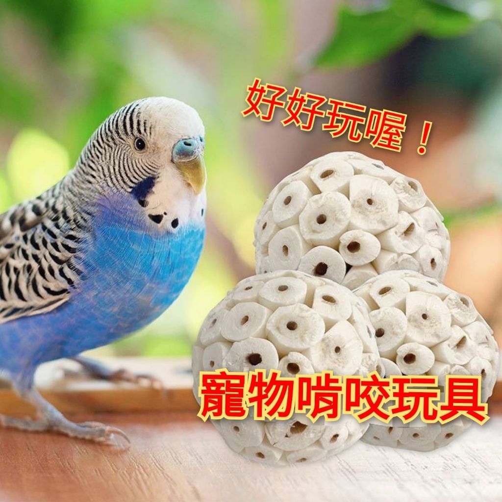 大顆的(6-7公分)通草球 寵物啃咬球 鸚鵡倉鼠磨牙健齒咀嚼玩具 解壓球 索拉球 鸚鵡玩具