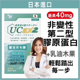 普頓 🔥日本 【 專利 UC2 40毫克 高含量 + 高效 葡萄糖胺 + 軟骨素】低溫萃取 非變性二型膠原蛋白 乳油木果
