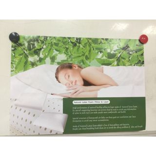 【聖麗宏親子生活館】100%無毒天然乳膠枕、舒適、透氣、QQ有彈性