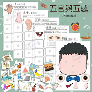 ⚡隔日達⚡五官與五感認知玩教具 親子互動 幼稚園中小班科學區生活區域遊戲投放資料 學習教具 科學教具 認知貼紙兒童拼圖