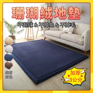 💥加厚3CM💥日式 珊瑚絨地毯 珊瑚絨地墊 塌塌米墊 爬行墊 吸水地墊 瑜珈墊 長毛地毯 加厚地毯 防滑地毯 毛地毯地墊