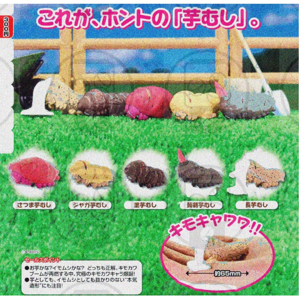 『預購』6月 芋蟲   T-ARTS  扭蛋   轉蛋   【蛋樂寶】