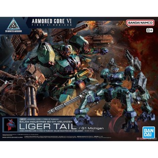 BANDAI 1/144 30mm 配件套組 機戰傭兵VI 境界天火 BD-001 MELANDER 彪尾 組裝模型