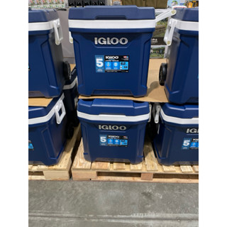 第一賣埸IGLOO美國製58公升滾輪式冰桶#1819522