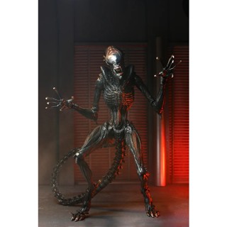 NECA 異形 羅穆路斯 7吋 灼傷異形 可動公仔