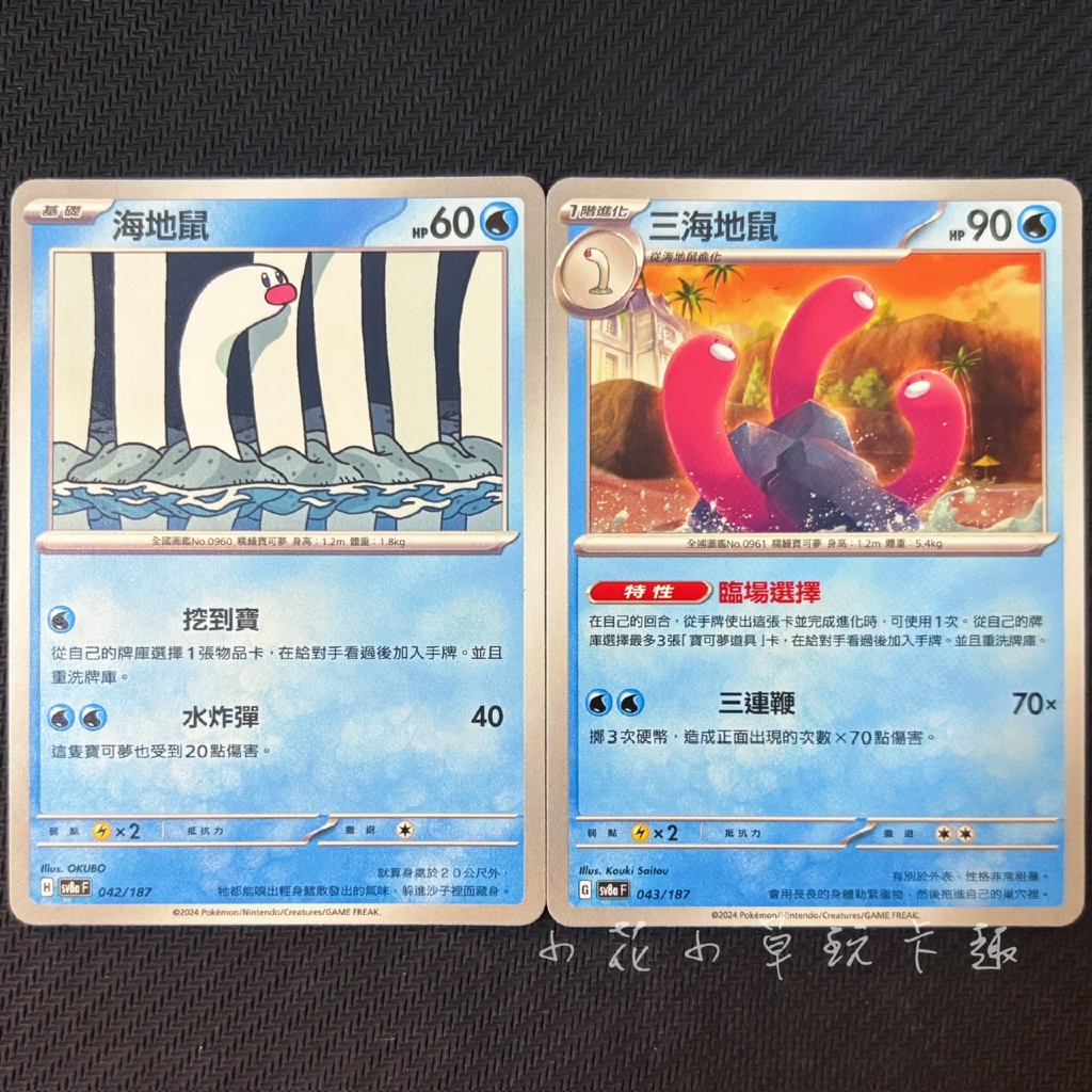 *小花小草* 海地鼠 三海地鼠 中文版 普卡 sv8a PTCG 寶可夢 42.43/187 太晶慶典