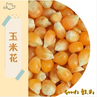 【穀氏GOODS】600g 1斤 爆玉米花 玉米粒 玉米 蝴蝶形 爆米花專用 乾玉米 幹玉米花 五穀雜糧
