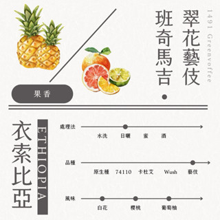 衣索比亞 班奇馬吉 翠花藝伎 日曬 生豆500克 藝伎藝妓精品單品 咖啡豆 商業配合 灰焉生豆