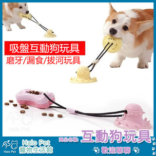 臺灣出貨✨Halo Pet✨寵物玩具 漏食玩具 狗狗玩具 狗玩具 狗玩具耐咬 耐咬玩具 藏食玩具 耐咬橡膠 磨牙漏食