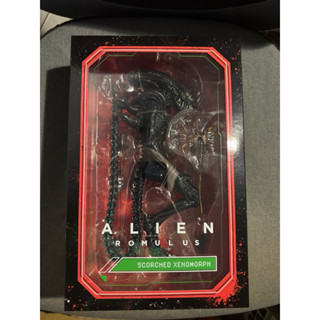 NECA 異形:羅穆路斯 2024 灼傷 異形 Alien