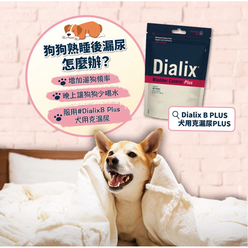 Dialix B PLUS犬用克漏尿PLUS