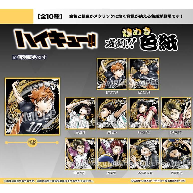 PROOF 排球少年!! 激鬥!!閃亮色紙 個別(岩泉)/套組(木兔+赤葦)(牛島+天童)販售 東海模型