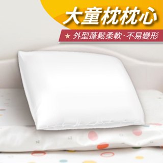 【安迪寢具】大童枕枕芯 大童枕 深度睡眠枕 枕心 枕芯 中低枕 中高枕 助睡眠 不塌陷 助眠枕 防蟎枕 抗菌枕 臺灣製